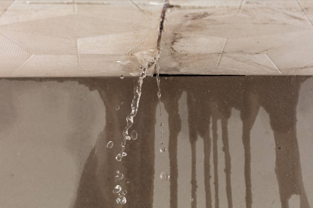 Professional Structural Drying technician working in Maysville, GA